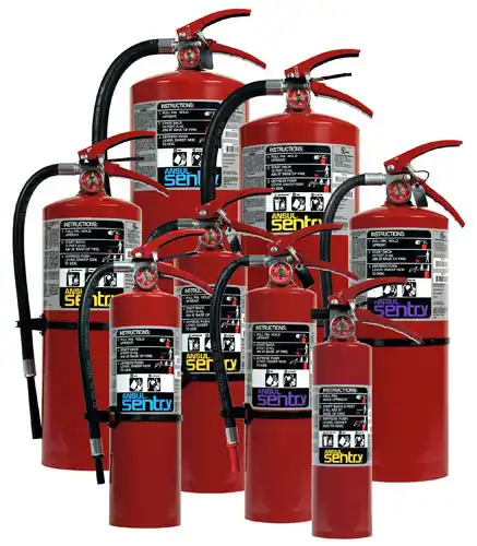 A group of fire extinguishers that are all red.
